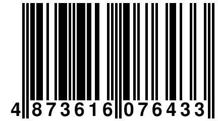 4 873616 076433