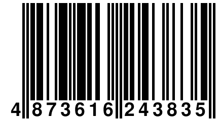 4 873616 243835