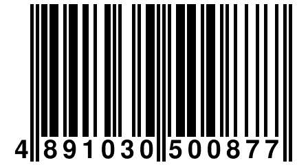 4 891030 500877