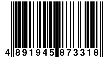 4 891945 873318