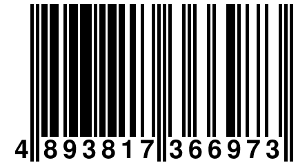 4 893817 366973