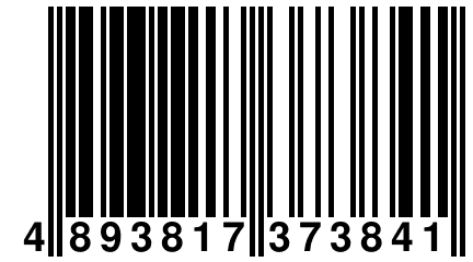 4 893817 373841