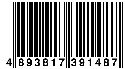 4 893817 391487