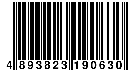 4 893823 190630