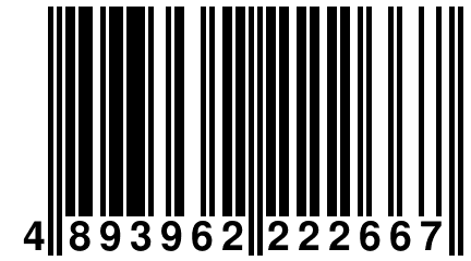 4 893962 222667