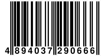 4 894037 290666