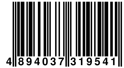 4 894037 319541