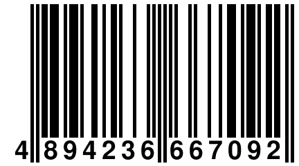 4 894236 667092