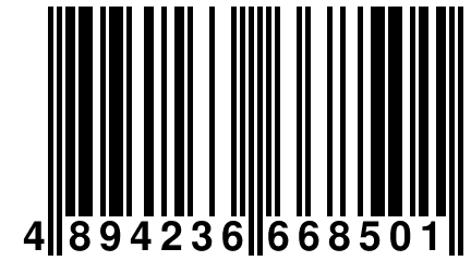 4 894236 668501