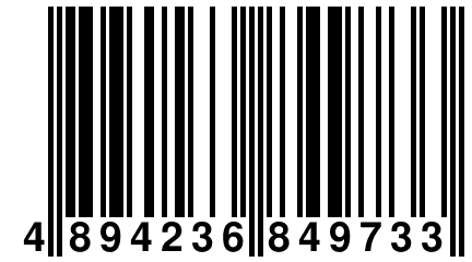 4 894236 849733