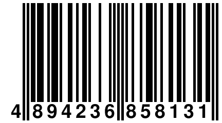 4 894236 858131