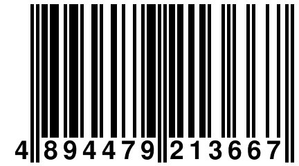 4 894479 213667