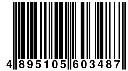 4 895105 603487