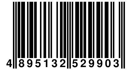 4 895132 529903