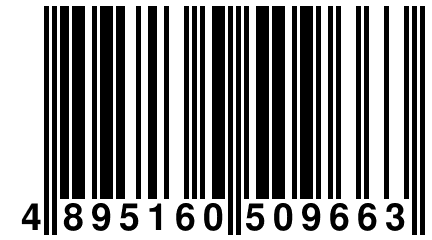 4 895160 509663