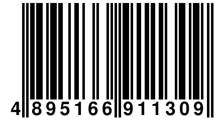 4 895166 911309