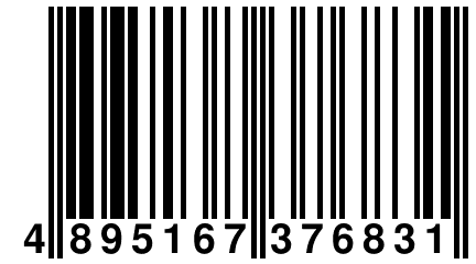 4 895167 376831