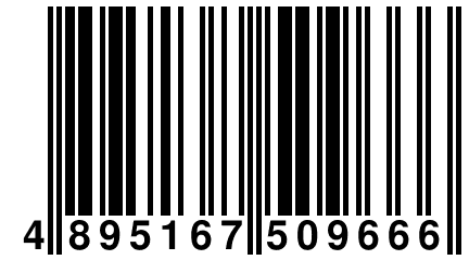 4 895167 509666