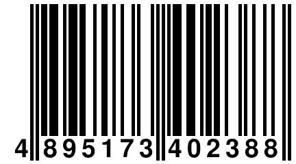 4 895173 402388