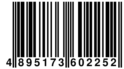 4 895173 602252