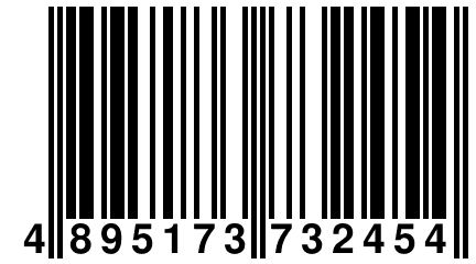 4 895173 732454