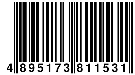 4 895173 811531