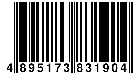 4 895173 831904