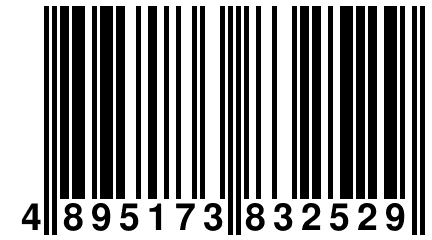 4 895173 832529