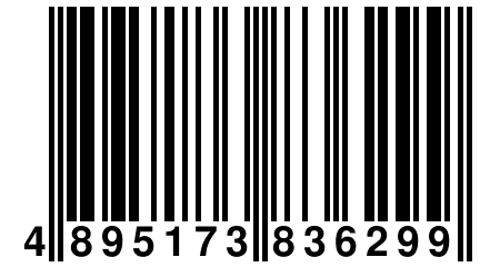 4 895173 836299