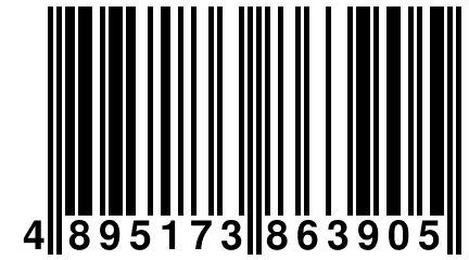 4 895173 863905