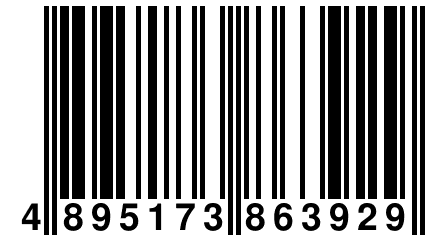 4 895173 863929