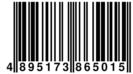 4 895173 865015