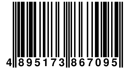 4 895173 867095