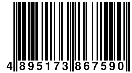 4 895173 867590