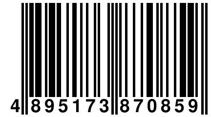 4 895173 870859