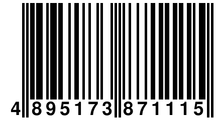 4 895173 871115