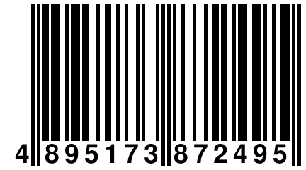 4 895173 872495