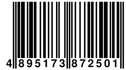 4 895173 872501