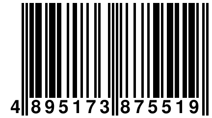 4 895173 875519