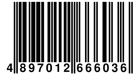 4 897012 666036