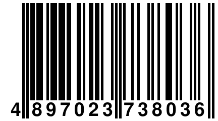 4 897023 738036