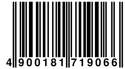 4 900181 719066