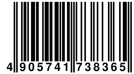 4 905741 738365