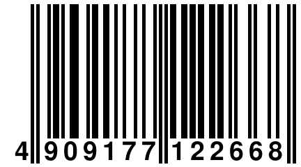 4 909177 122668