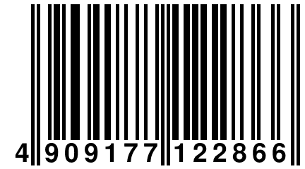 4 909177 122866