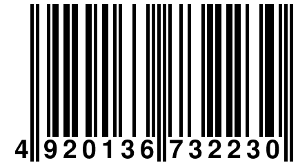 4 920136 732230