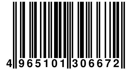 4 965101 306672