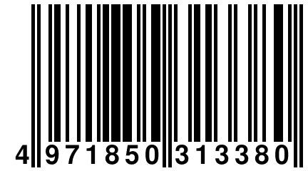 4 971850 313380