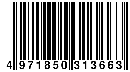 4 971850 313663