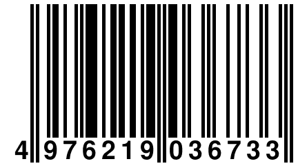 4 976219 036733